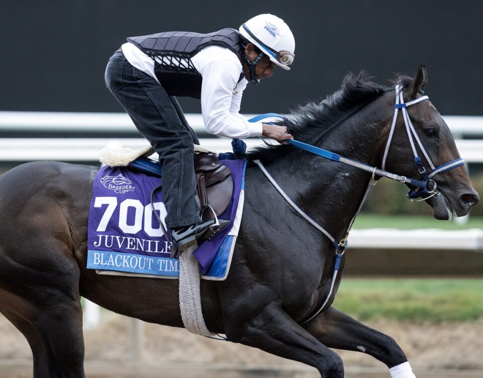 Blackout Time - Barbara D. Livingston - Daily Racing Form