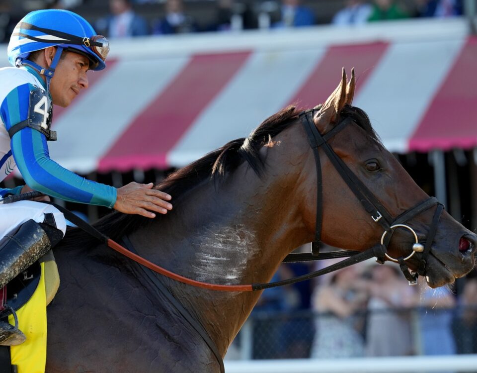 Book'em Danno - Justin Lane - Coglianese Photo