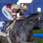 Brotherly Love (GB) - Dubai Road to the Kentucky Derby Stakes - credit Dubai Racing Club Media