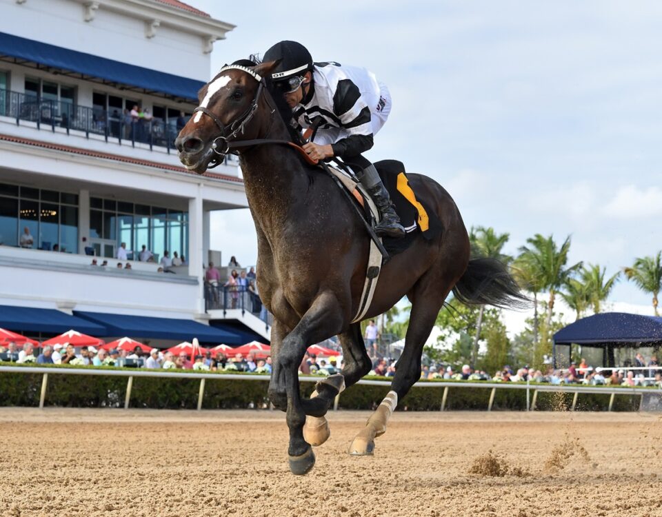 Chief Wallabee - Ryan Thompson - Coglianese Photo