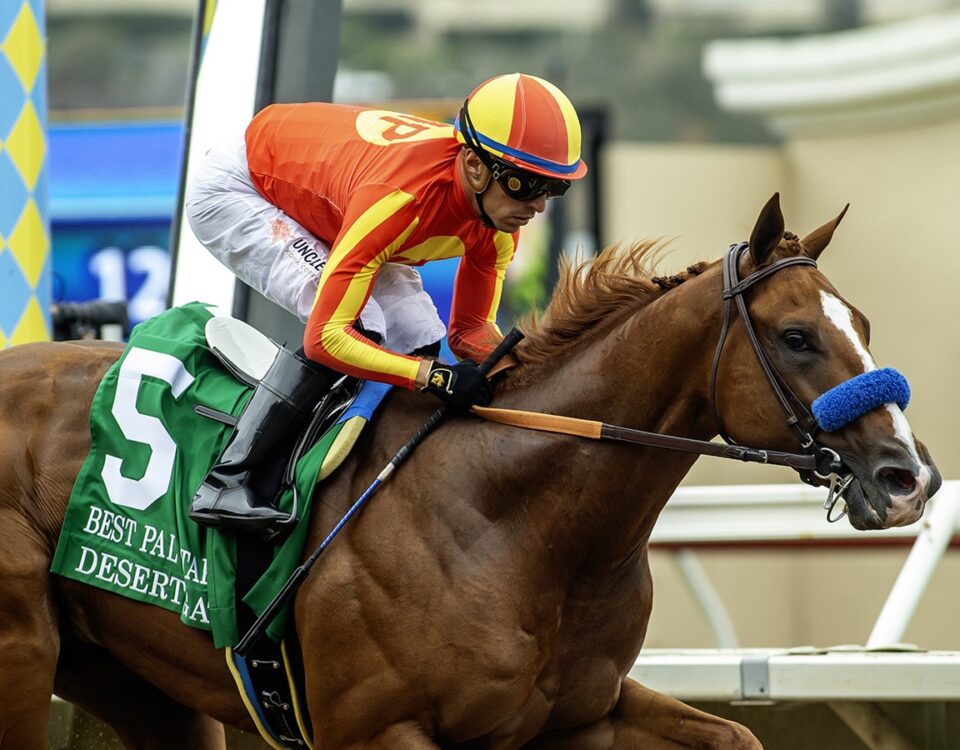 Desert Gate - Benoit Photo, CA.