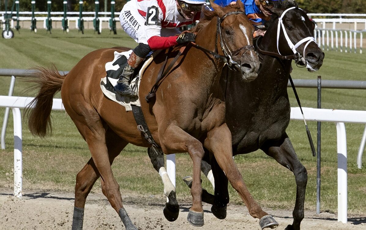 Emerging Market - Tom Keyser - Daily Racing Form