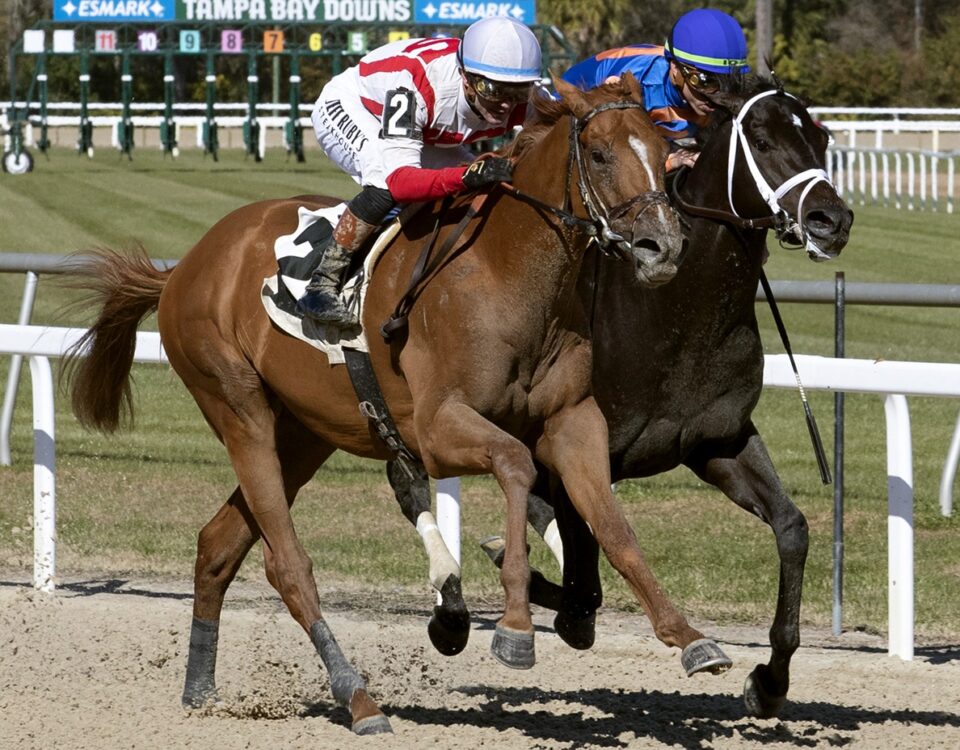 Emerging Market - Tom Keyser - Daily Racing Form