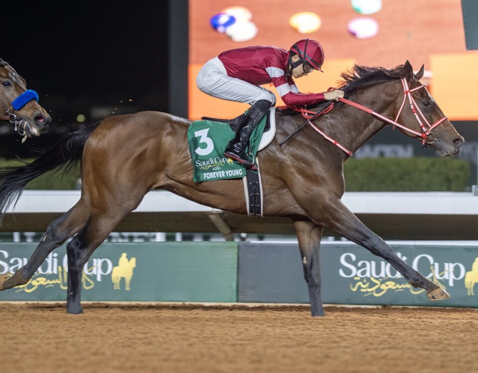 Forever Young - Saudi Cup - King Abdulaziz Racecourse -Riyadh Saudi Arabia - Mathea Kelley - JCSA