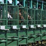 Gulfstream scenic - Ryan Thompson - Coglianese Photo