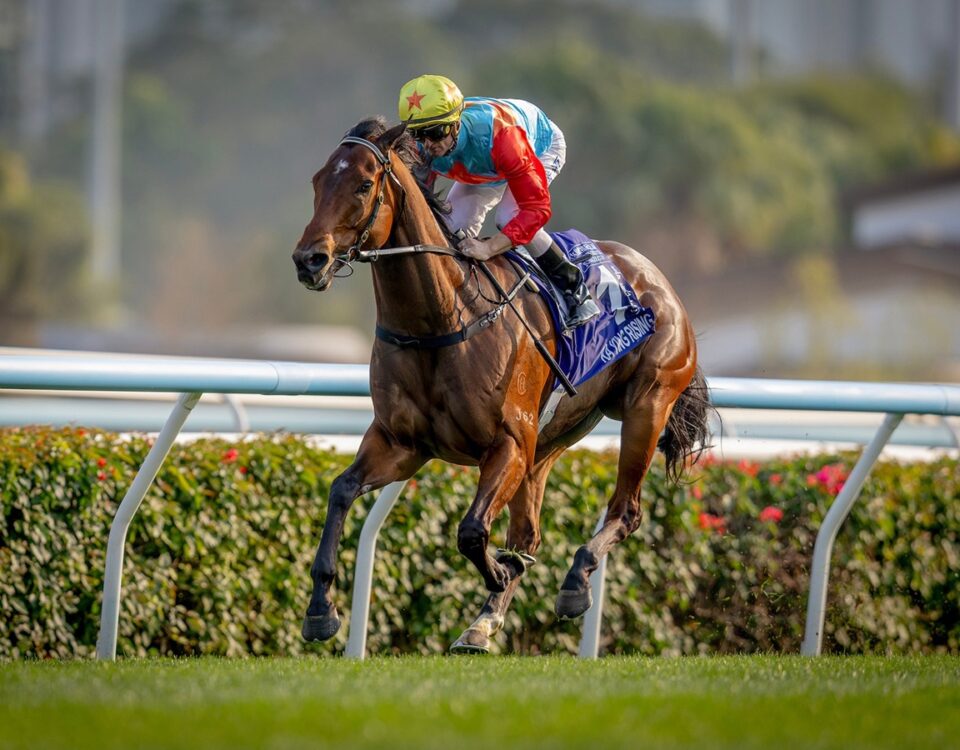 Ka Ying Rising - Queen's Silver Jubilee Cup G1 - foto credito Hong Kong Racing Club
