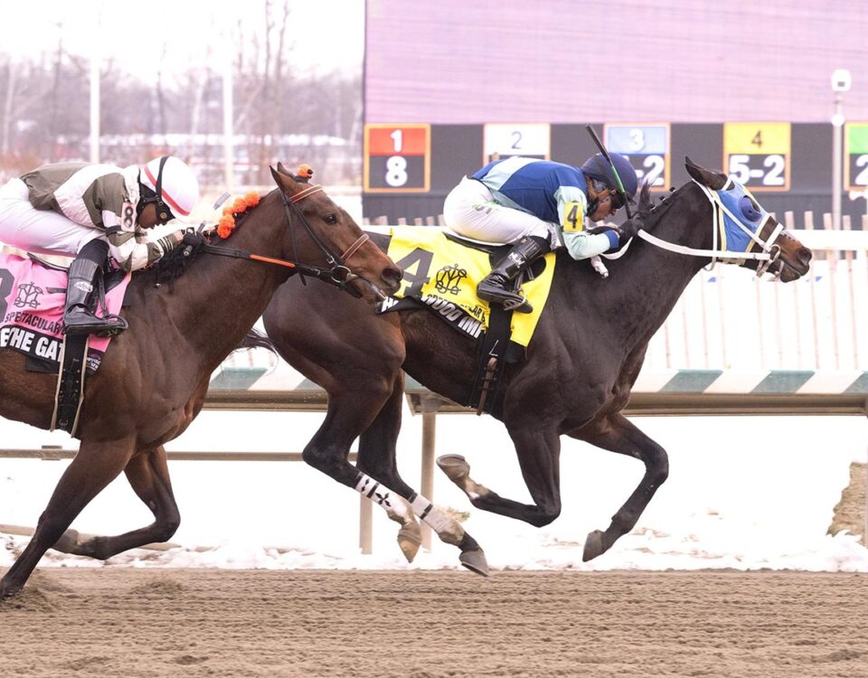 HOLLYWOOD IMPORT - Spectacular Bid Stakes - Photo: Jim McCue f/ The Maryland Jockey Club
