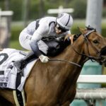 Jungle Peace (Ire) -Benoit Photo CA.