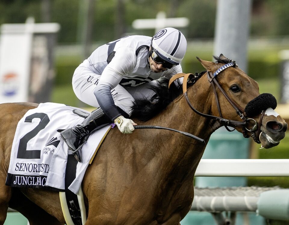 Jungle Peace (Ire) -Benoit Photo CA.