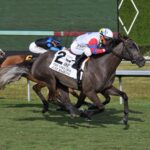 Just Basking - The Very One Stakes G3 - Coglianese Photo