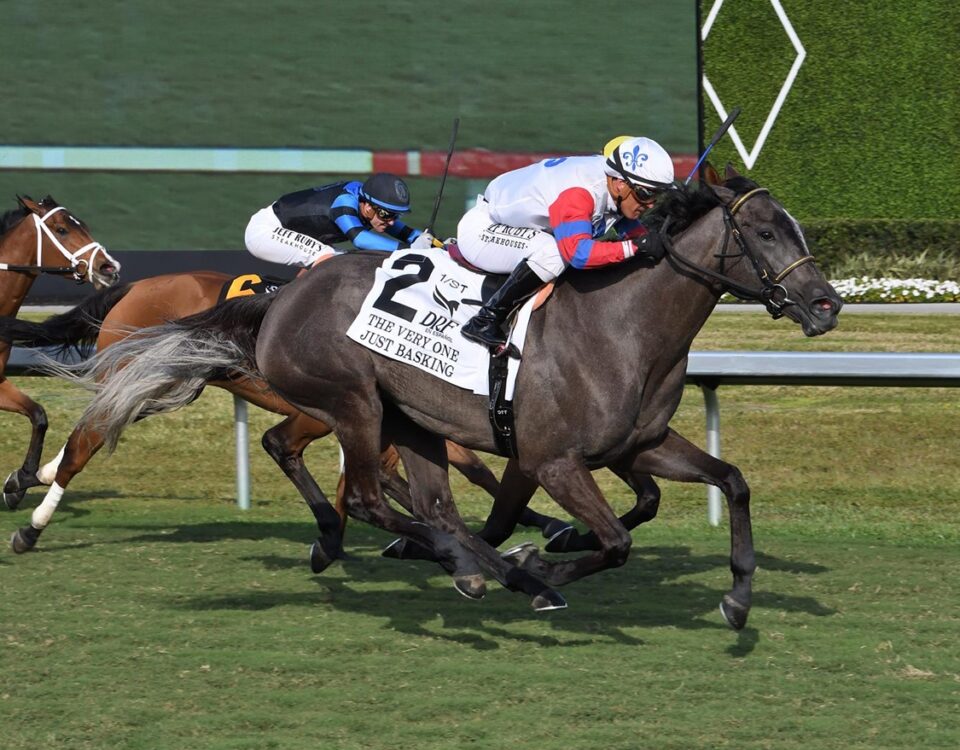Just Basking - The Very One Stakes G3 - Coglianese Photo