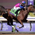 Just FYI - Julie Wright - Daily Racing Form