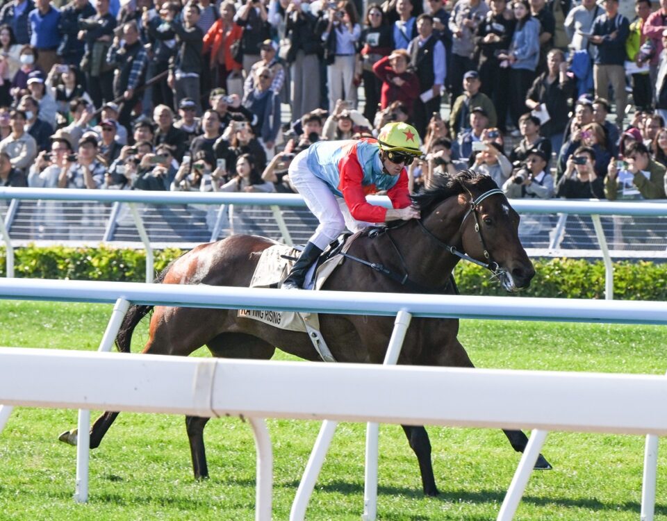 Ka Ying Rising - Foto credito Hong Kong Racing