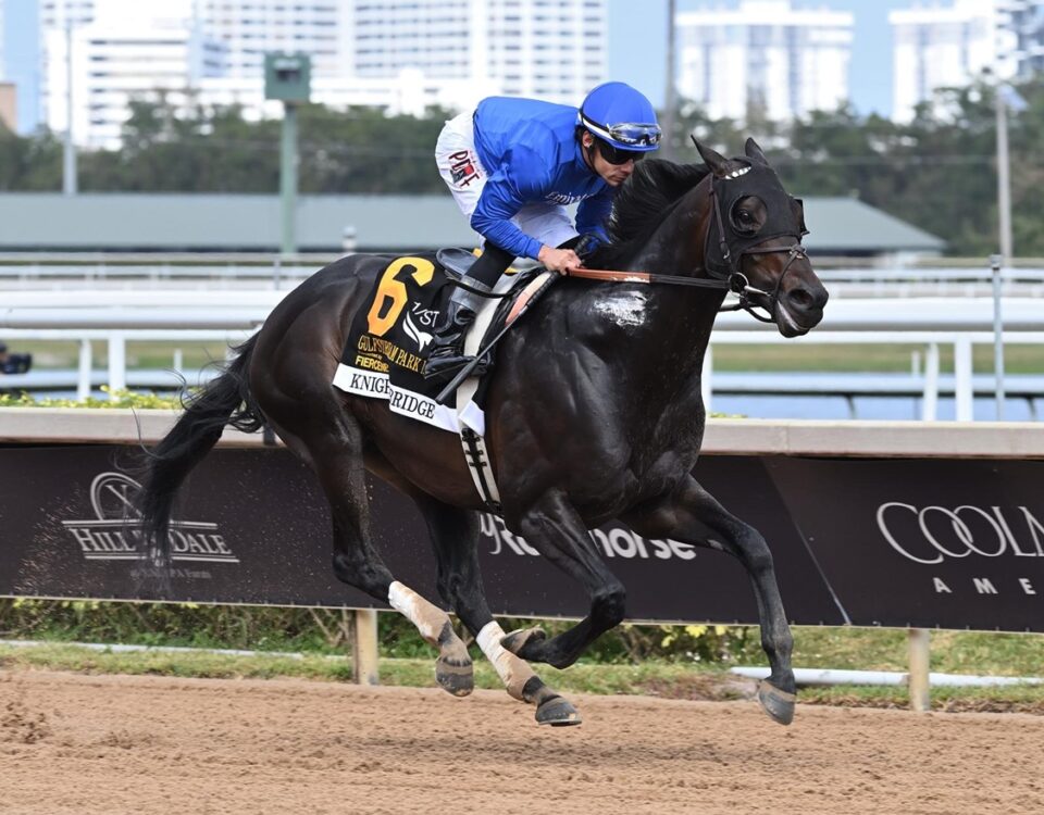 Knightsbridge - Gulfstream Park Mile G3 - Coglianese Photo