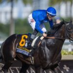 Knightsbridge - Fred W. Hooper G3 - Makoto Kine - Daily Racing Form