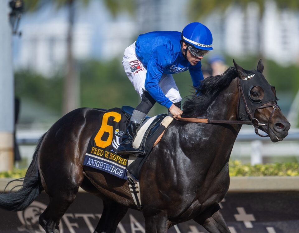 Knightsbridge - Fred W. Hooper G3 - Makoto Kine - Daily Racing Form