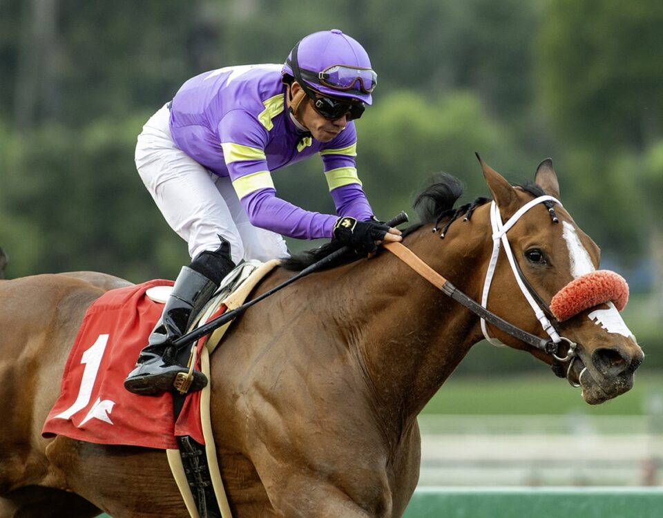 Man O Rose and jockey Emisael Jaramillo win the $100,000 Palos Verdes Stakes - Santa Anita Park, Arcadia CA. © BENOIT PHOTO