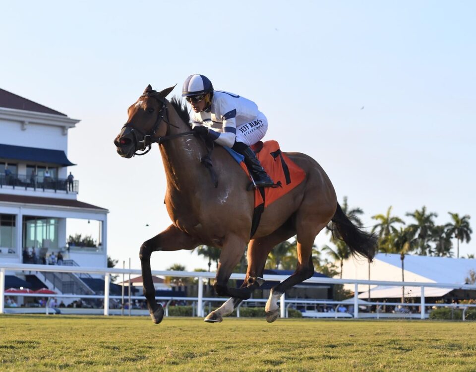 Moon Spun - Ladies' Turf Sprint Stakes - Gulfstream Park - Coglianese Photo
