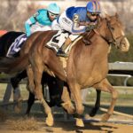 Paladin - Barbara D. Livingston - Daily Racing Form