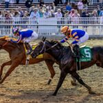 Paladin - Risen Star Stakes G2 - LA. Hodges Photography /Amanda Hodges