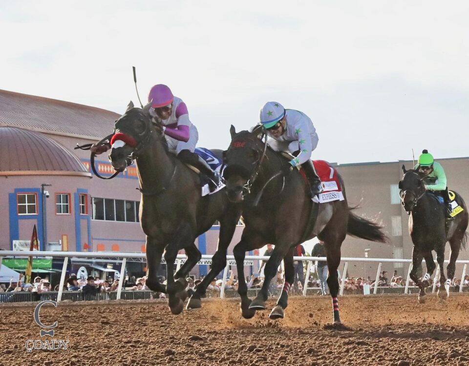 Pavlovian-Sunland-Park-Derby-Coady-Media