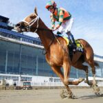 PEACH TIE - Photo: Jeffrey Snyder f/ The Maryland Jockey Club