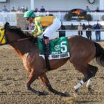POINT DUME - General George Stakes - Laurel Park - Photo: Jeffrey Snyder f/ The Maryland Jockey Club