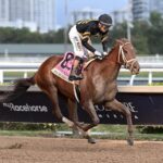 She Be Smooth - Davona Dale Stakes G2 - Coglianese Photo