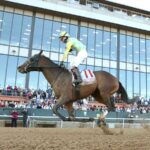 Silent Tactic - Southwest Stakes G3 - Oaklawn Park - Coady Media