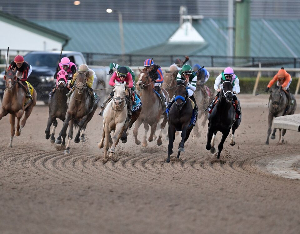 Stakes - Coglianese Photo