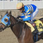 Slam Notion - Jeffrey Snyder - Maryland Jockey Club