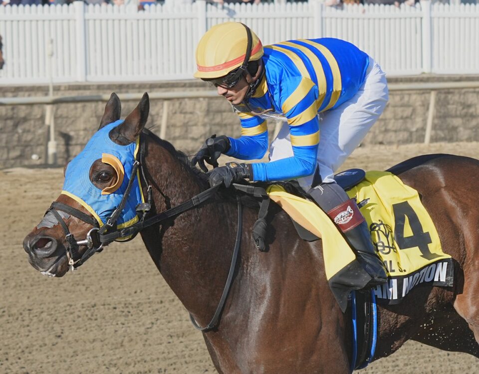 Slam Notion - Jeffrey Snyder - Maryland Jockey Club