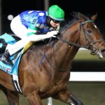 Street Beast - Coady Media