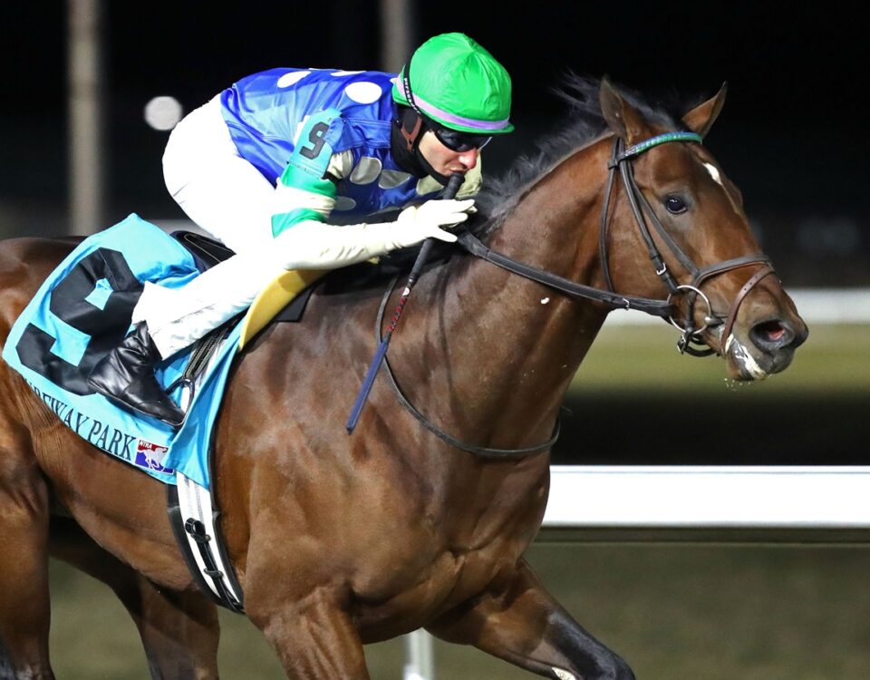 Street Beast - Coady Media