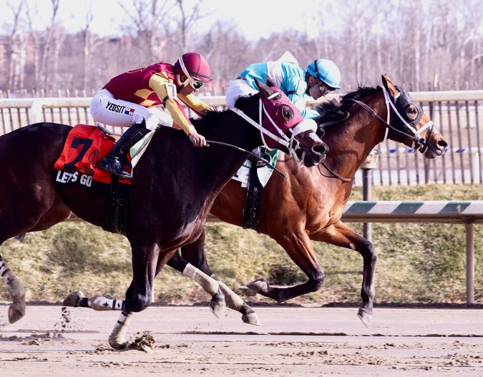 Taj Mahal - Miracle Wood Stakes - photo Jim McCue - Maryland Jockey Club