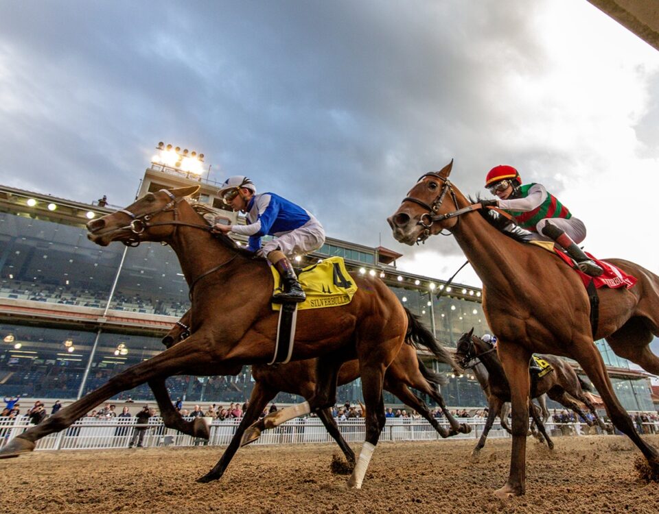 Taken By The Wind - Fair Grounds Racecourse in New Orleans, LA. Hodges Photography/Amanda Hodges