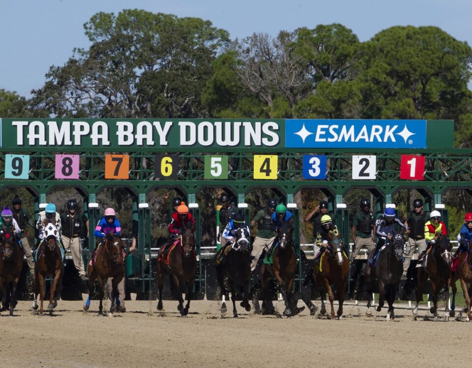Tampa Bay Downs - Tom Keyser photo / DRF