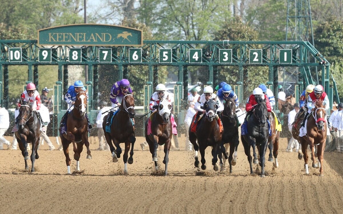 Keeneland scenic - Coady Media / Keeneland