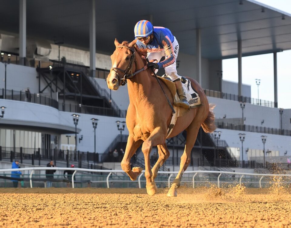 Paladin - Coglianese Photo, NY.