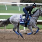 Brant - Barbara D. Livingston - Daily Racing Form