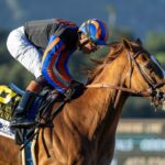 British Isles - Santa Anita Handicap G1 - Benoit Photo