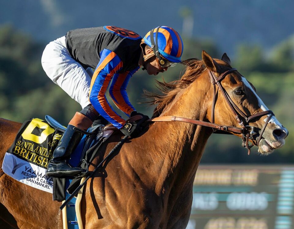 British Isles - Santa Anita Handicap G1 - Benoit Photo