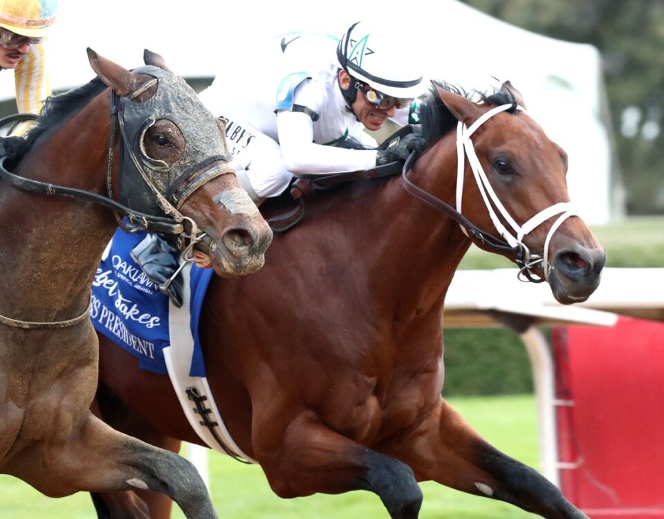 CLASS PRESIDENT - Rebel Stakes G2 - Coady Media