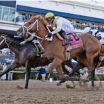 Commandment - Florida Derby - Barbara Livingston - Daily Racing Form