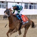 Complexity Jane - Jim McCue - Maryland Jockey Club