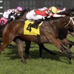 Destino D´Oro Hillsborough G2 $225,000 - Tom Keyser - Daily Racing Form