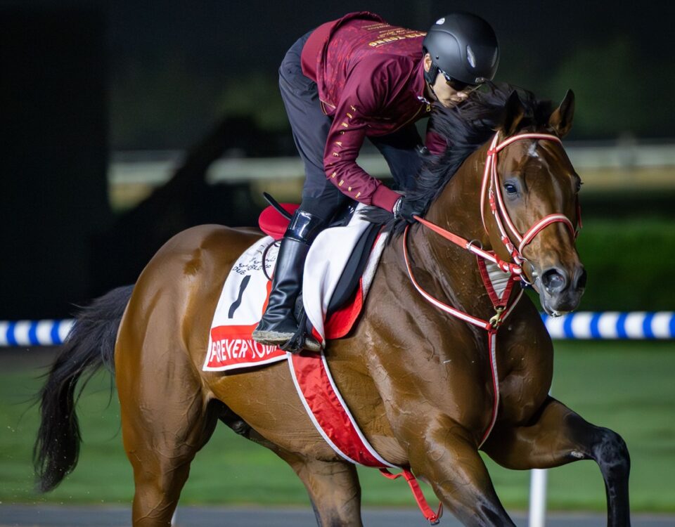 FOREVER YOUNG - Dubai Racing Club - Media