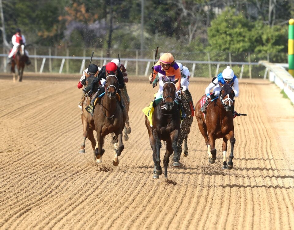 Racing Scenics - Coady Media