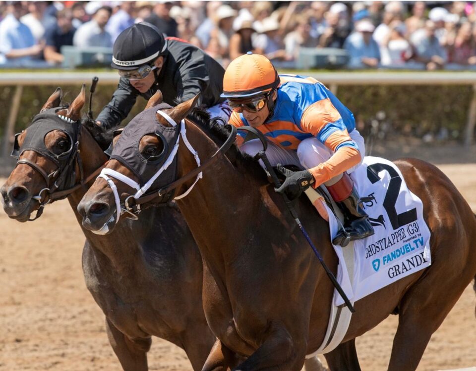 Grande - Ghostzapper G3 - Barbara D. Livingston - Daily Racing Form