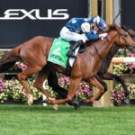 LIGHT INFANTRY MAN - Australian Cup - Photo credit: Victoria Racing Club - Flemington